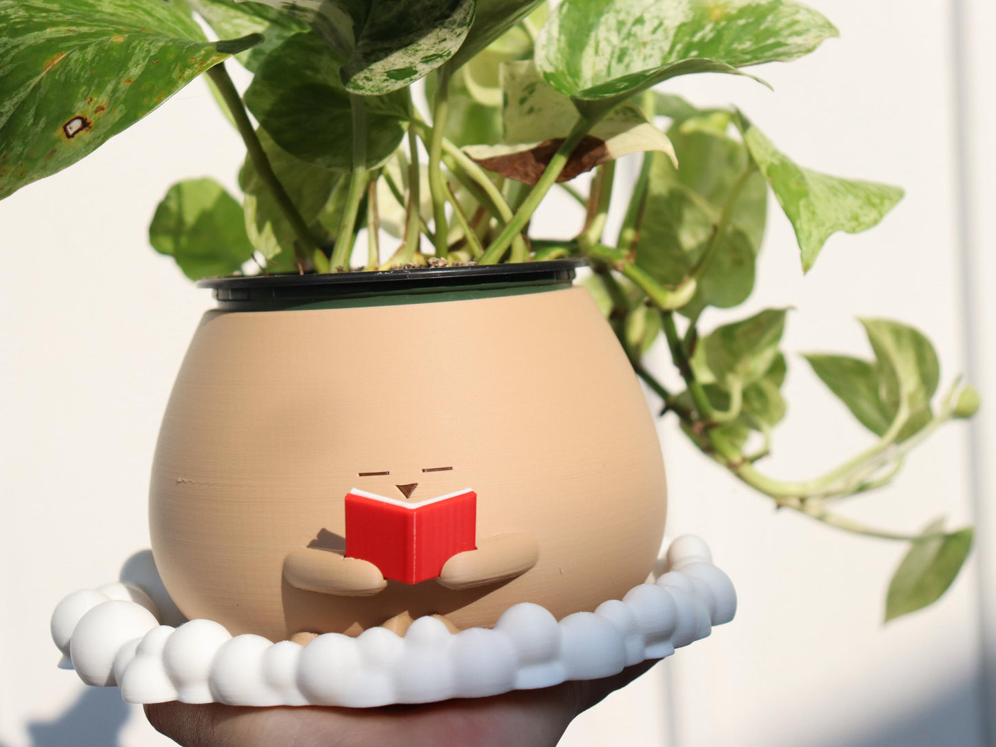 Bubble Drainage Tray for Indoor Planters
