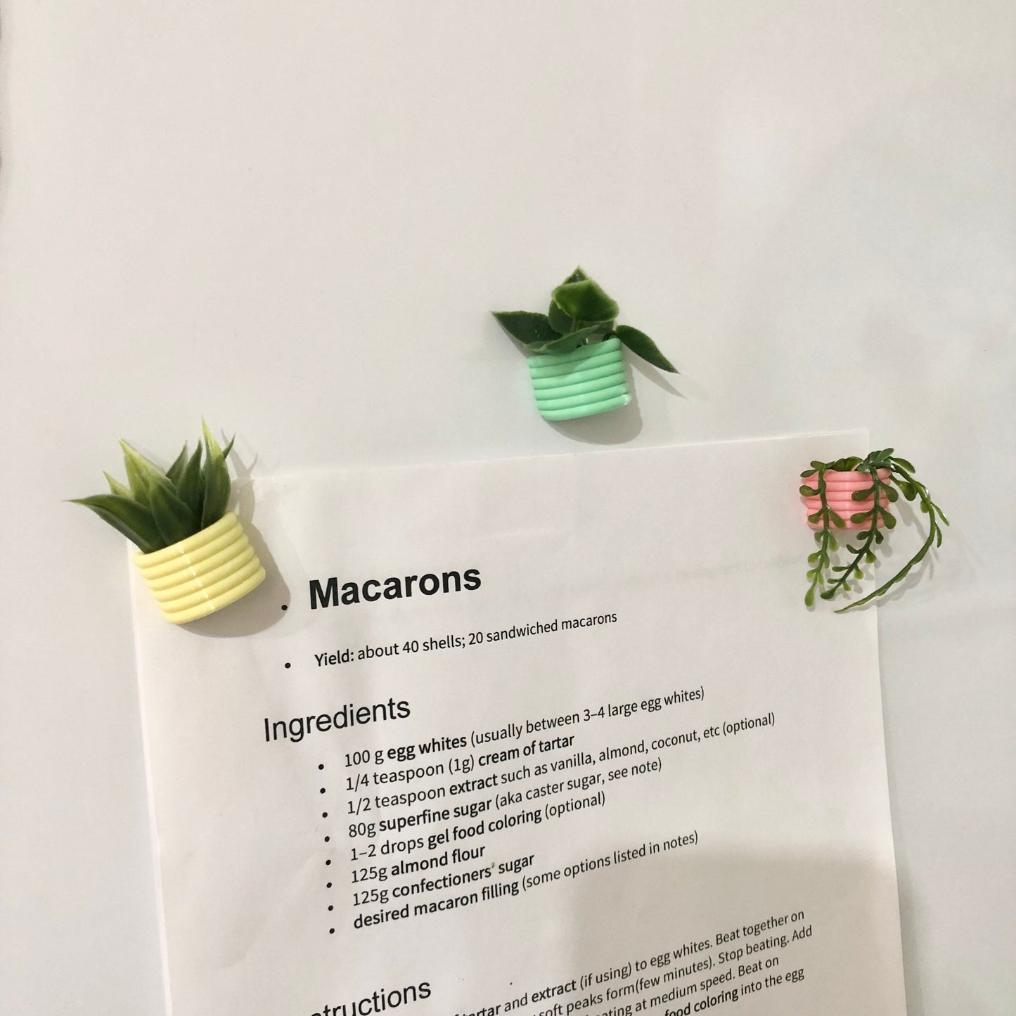 Mini Succulent Fridge Magnet