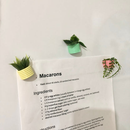 Mini Succulent Fridge Magnet