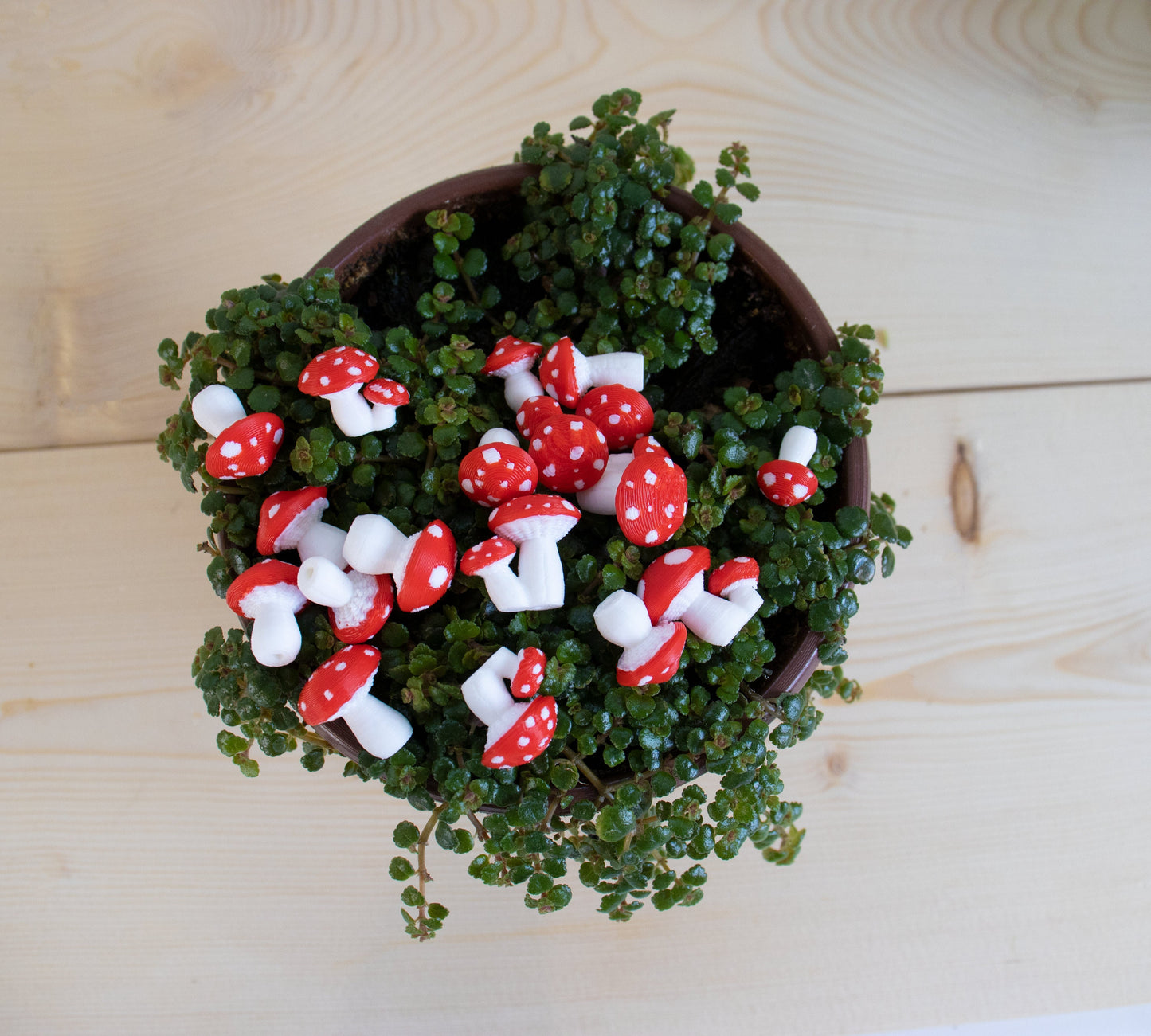 Red Mushroom Plant Stake