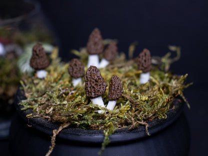 Morel Mushroom Plant Stake