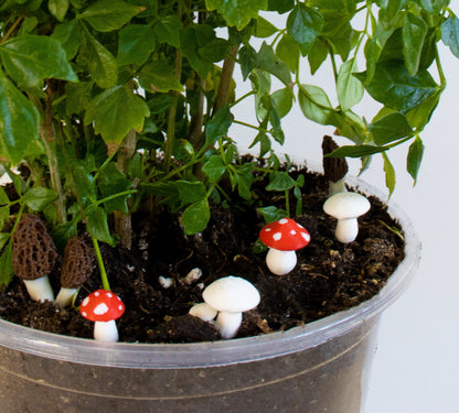 Red Mushroom Plant Stake