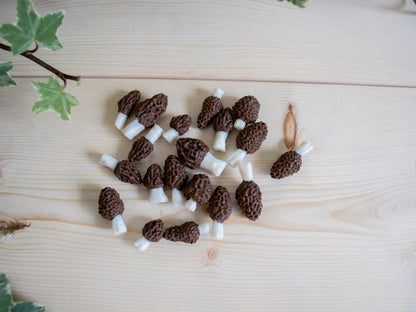 Morel Mushroom Plant Stake