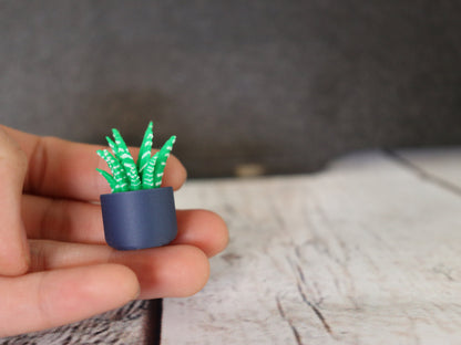 Set of 5 Planter with Succulent Magnet