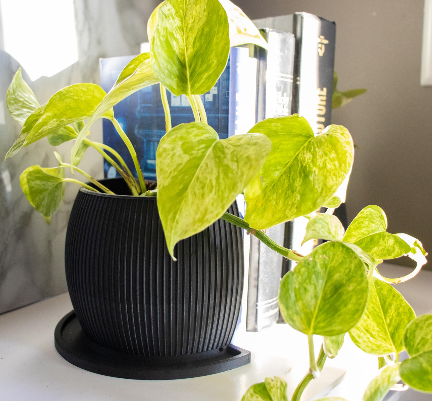 Minimalist Planter Bookend