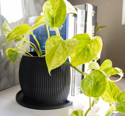Minimalist Planter Bookend