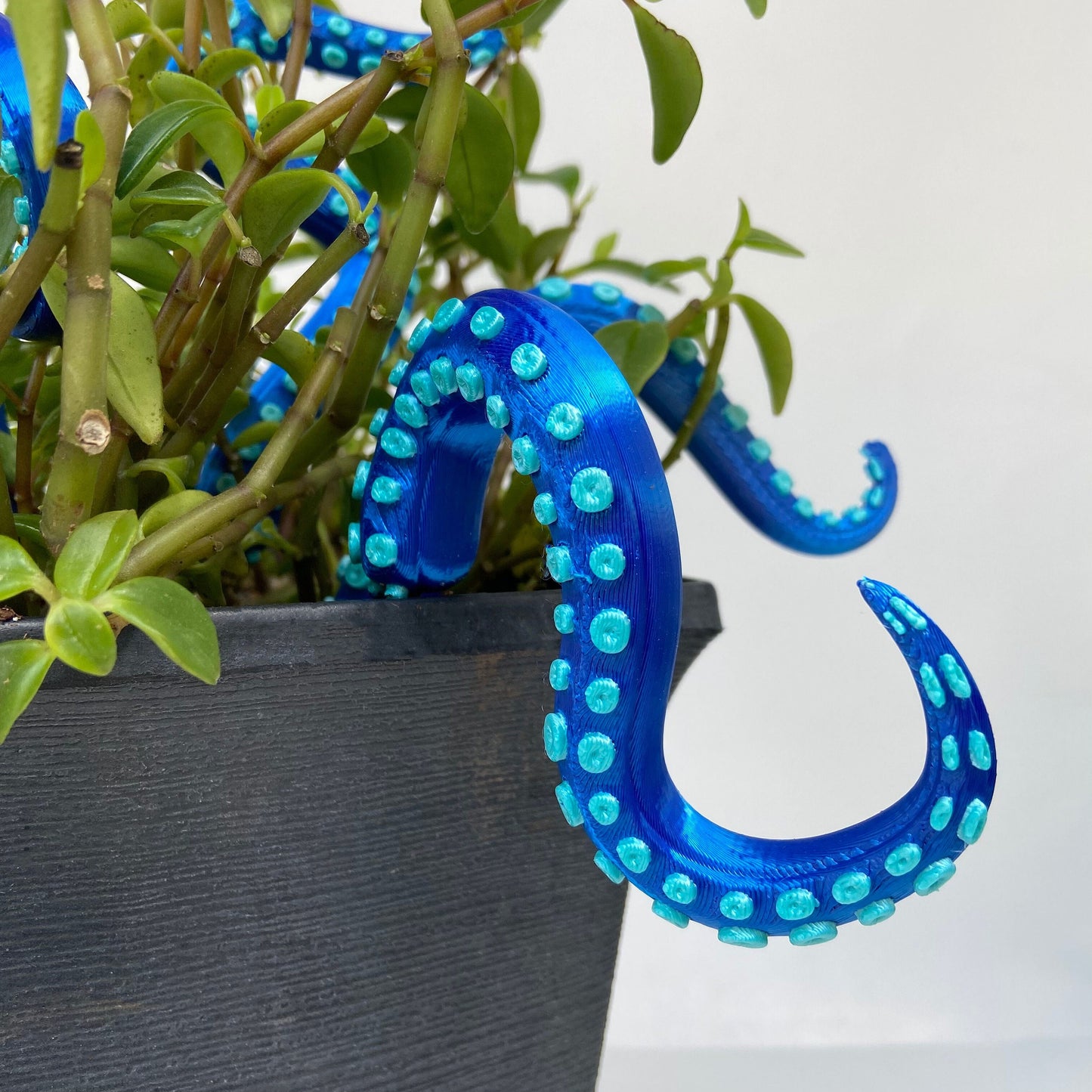 House Plant Accessories Decor - Set of 8 Sea monster Tentacles
