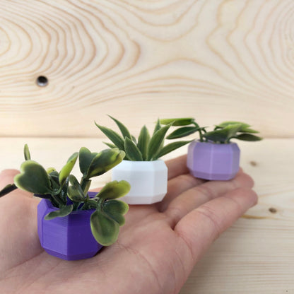 Mini Succulent Fridge Magnet