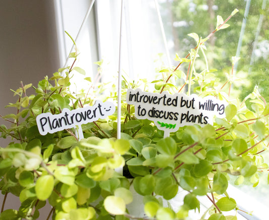 Punny Plant Stake