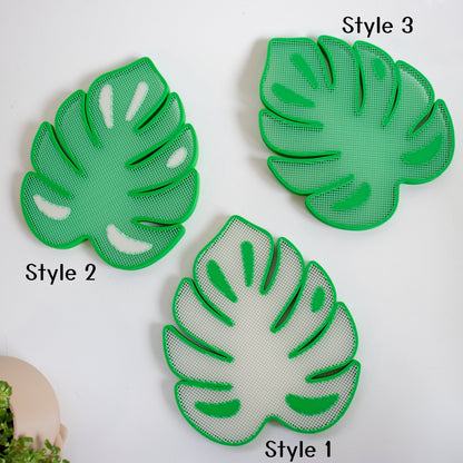 Monstera Leaf Pin Board Display