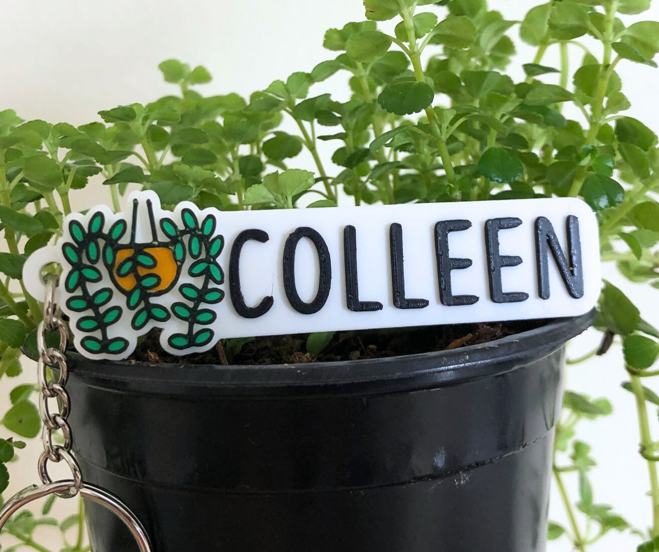 House Plant Custom Name Keychain