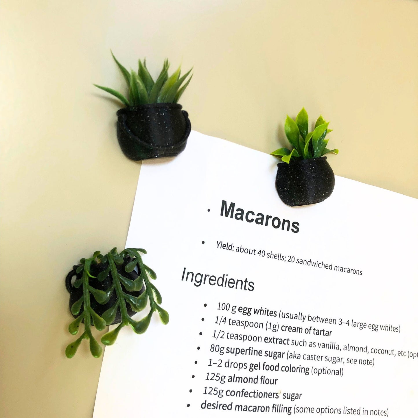 Mini Succulent Cauldron Fridge Magnet