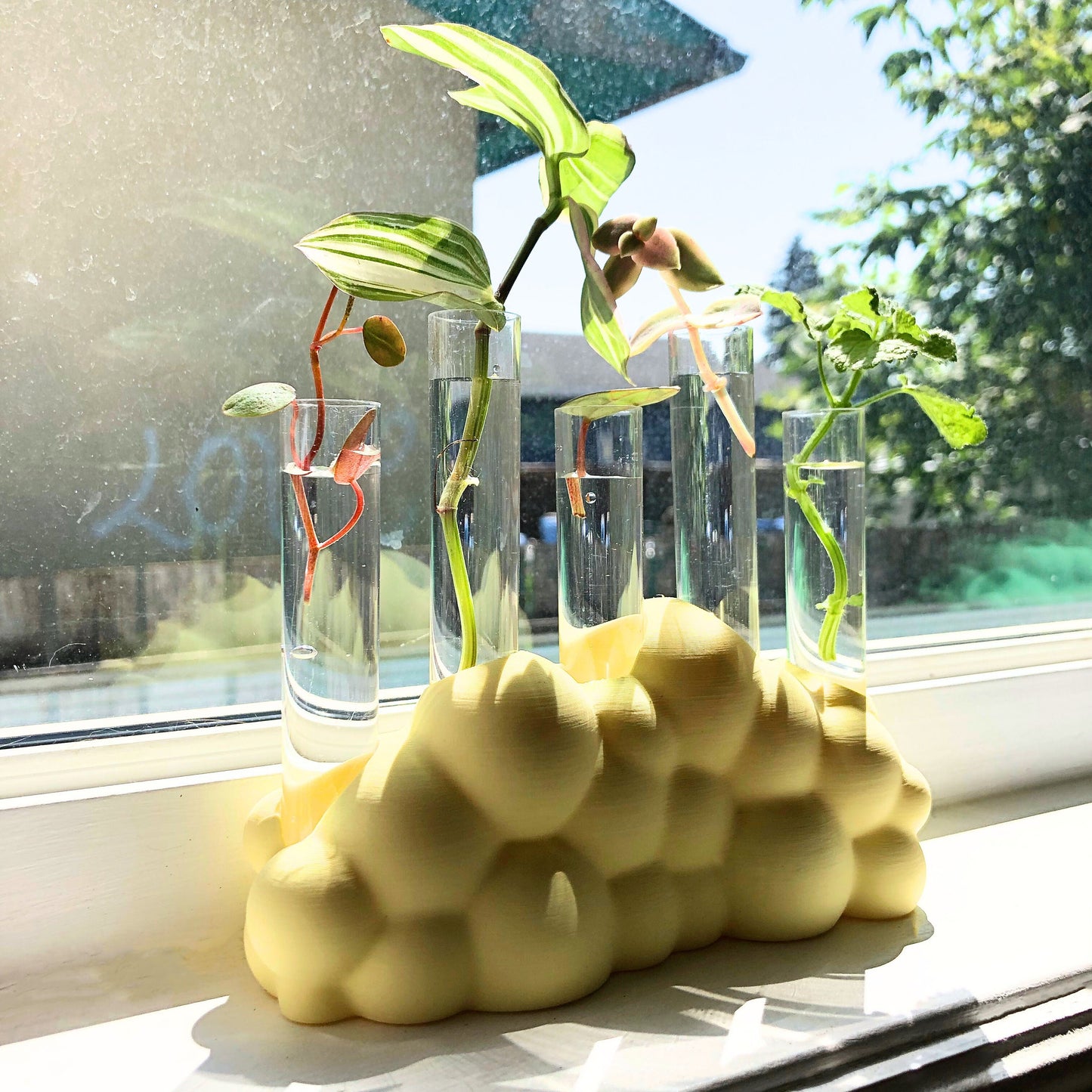 Cloud Propagating Station