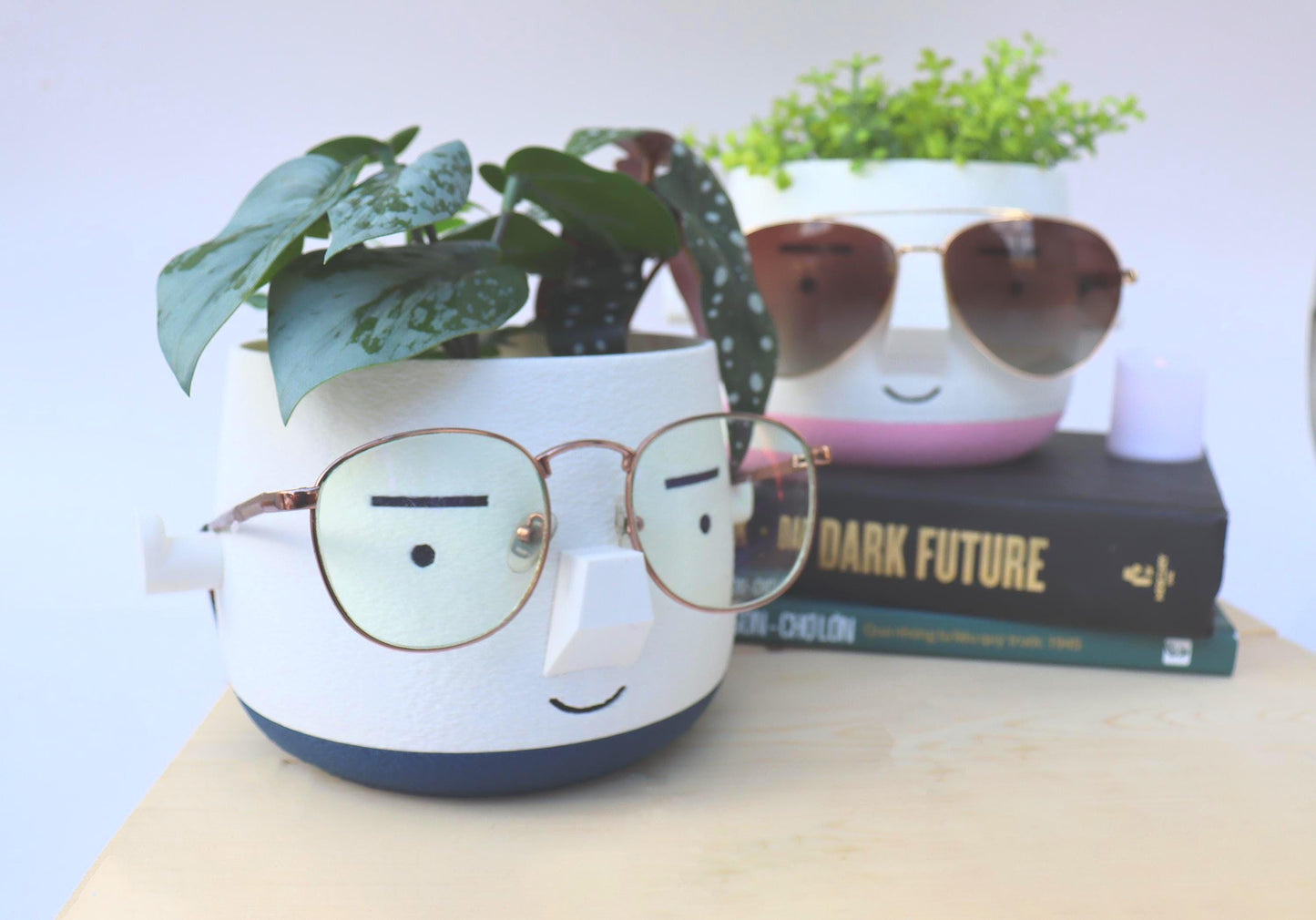 Mr. Square Brow Indoor Planter