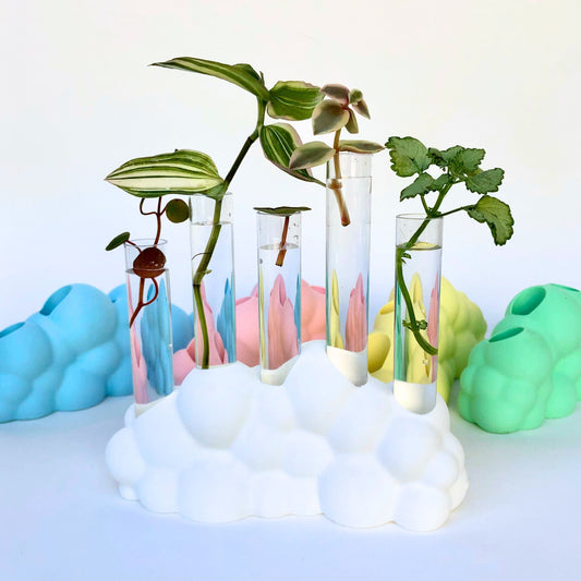 Cloud Propagating Station