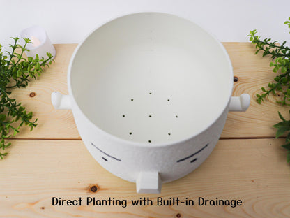 Mr. Square Brow Indoor Planter