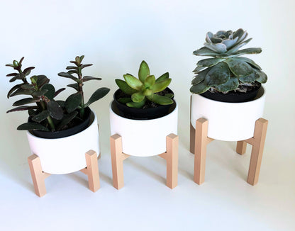 Minimalist Raised Planter Set of 3