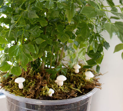 White Button Mushroom Stake Plant Accessory