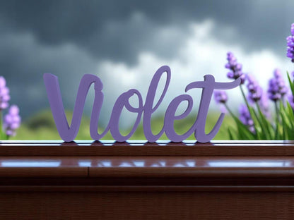 Personalized Name Door Sign