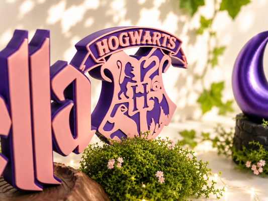 Personalized Harry Potter Name Plate