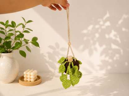 Pothos Vine Car Diffusers - Planty Rearview Mirror Decor and Car Air Freshener Accessories - Plant Lover Gifts