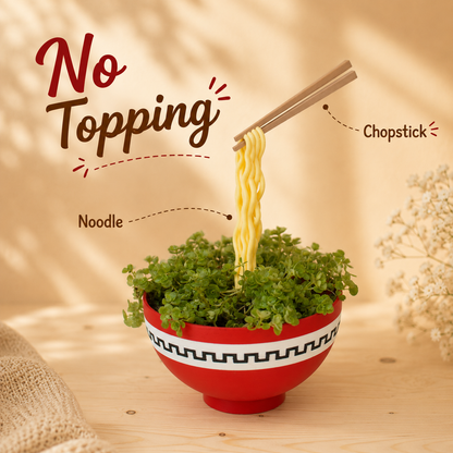 Japanese Ramen Bowl Planter