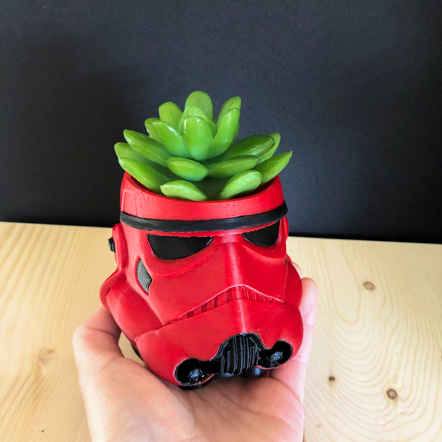 Stormtrooper Planter or Penholder