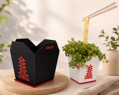 Chinese Takeout Planter