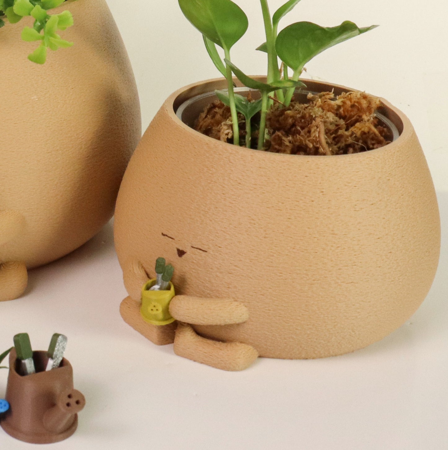Plant Lover and Gardener Cozy Planter